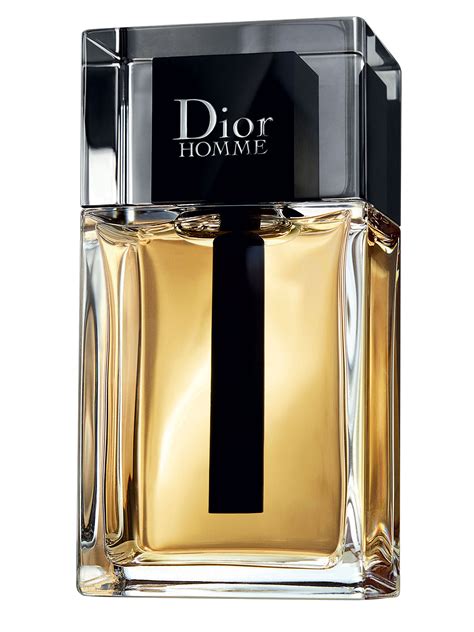 dior hime|dior homme for men.